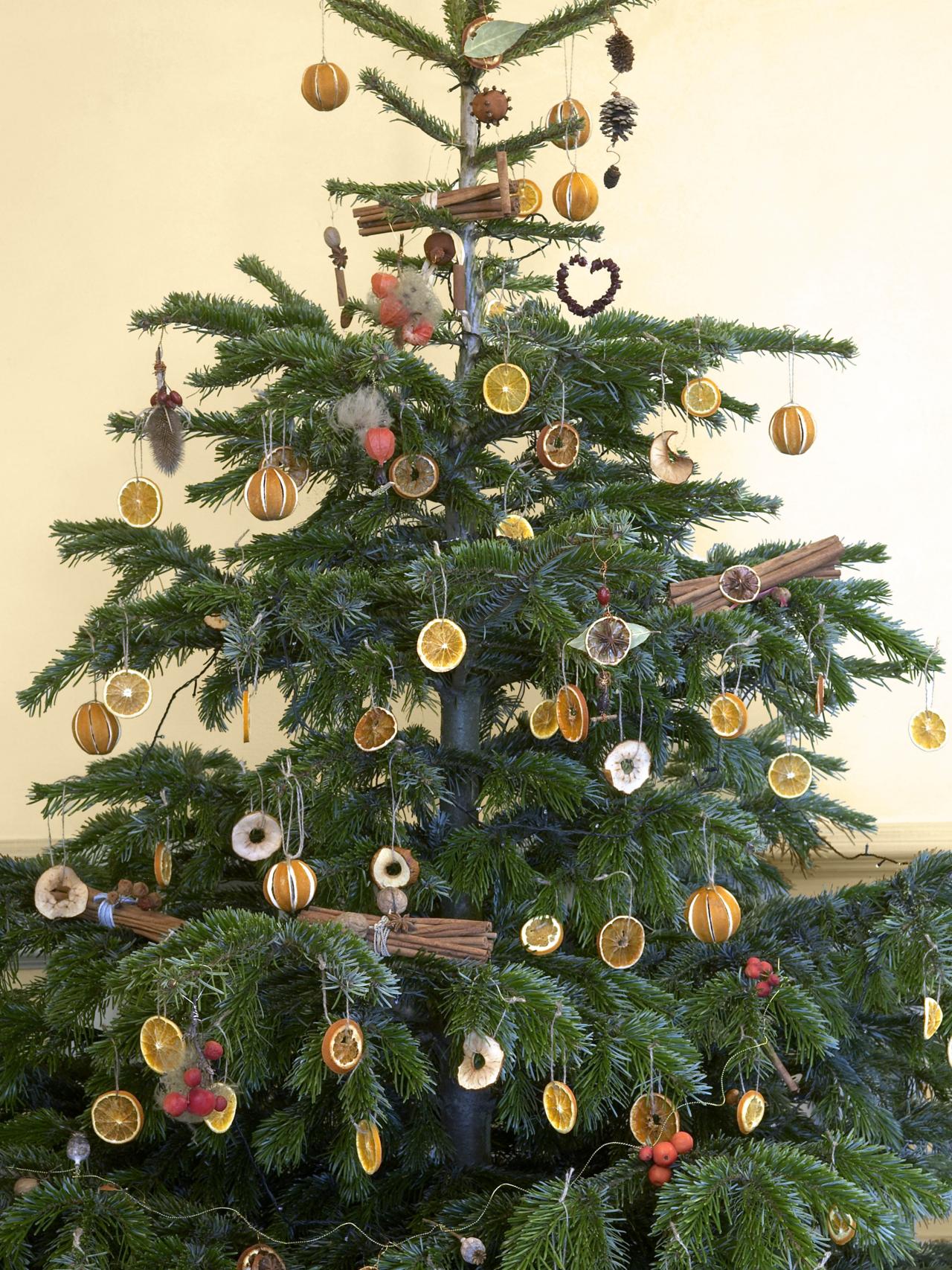 Adorable Ways to Decorate an Outdoor Christmas Tree