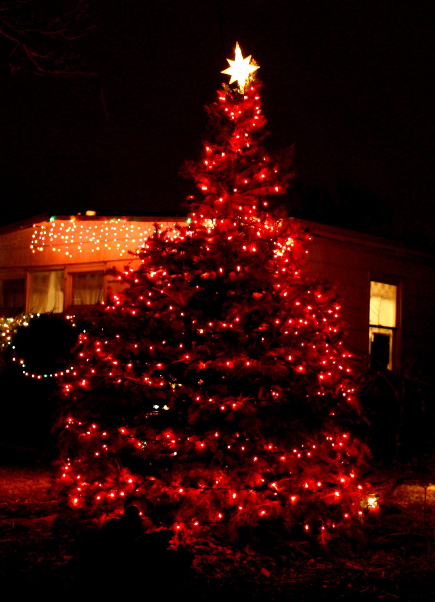 outdoor christmas tree, commercial christmas tree, large outdoor christmas tree, led outdoor christmas tree, large christmas tree, outdoor commercial christmas trees, 20 foot christmas tree, 16 foot christmas tree, large outdoor christmas trees for sale, outside christmas tree, commercial artificial christmas trees sale, outdoor xmas tree, commercial christmas trees wholesale, 20 christmas tree, commercial xmas trees, diy pole christmas tree, 50 foot christmas tree, large outdoor artificial xmas trees, large outdoor christmas tree topper, 12 christmas tree, commercial artificial christmas trees, 100 ft christmas tree, 20 ft christmas tree, huge christmas tree for sale, outdoor artificial christmas trees 