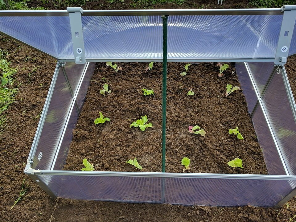 cold frame, what is a cold frame, cold frame gardening, cold frame greenhouse, winter cold frame gardening, diy cold frame, how to build a cold frame, building a cold frame, diy greenhouse, greenhouse frame, build your own greenhouse, building a cold frame mini greenhouse 