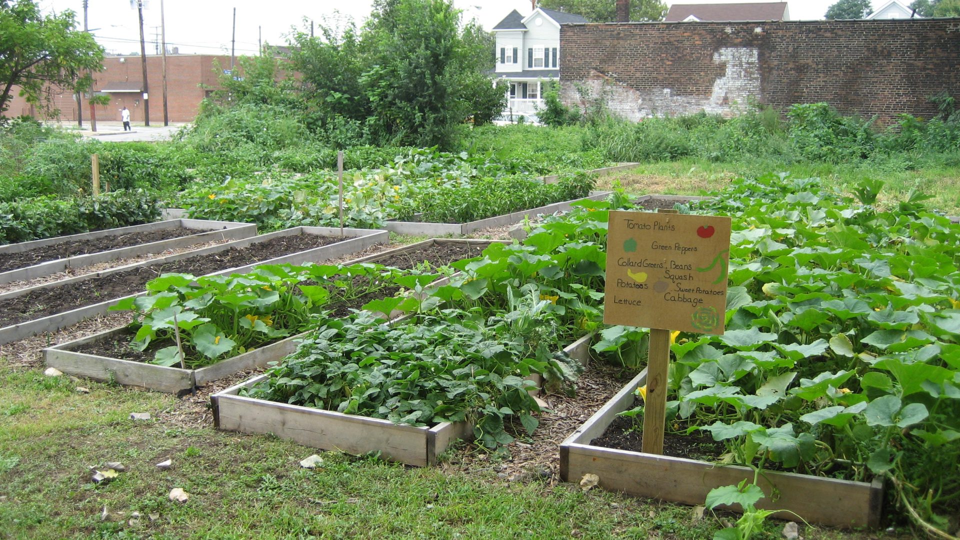 The Many Benefits of Participating in a Community Garden