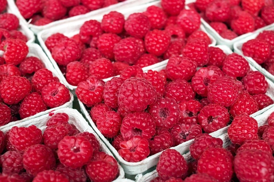 ways to use raspberries