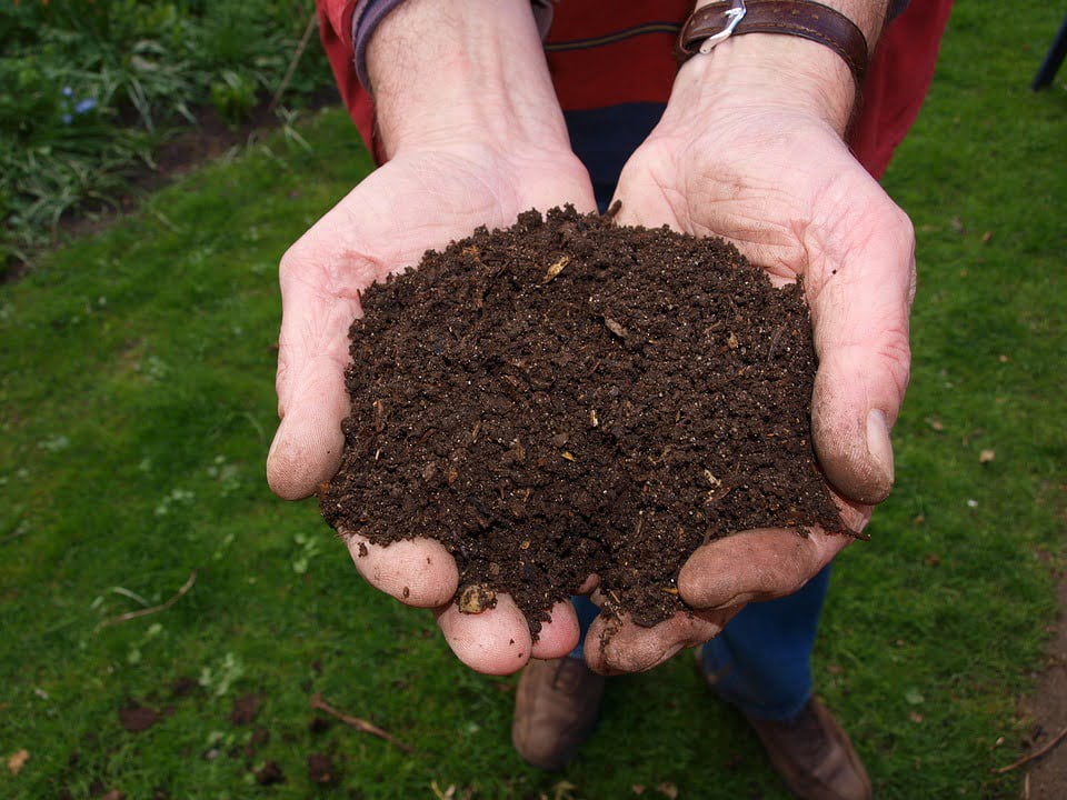 Man holding soil