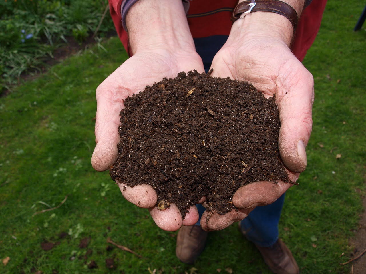 Hand showing the compost soil