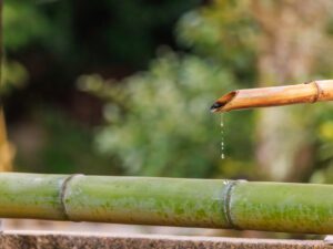 Eco-Friendly Solutions For Garden Irrigation