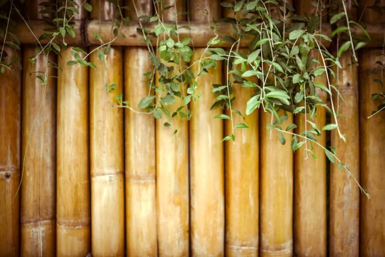 Image showcasing Sustainable Fencing Options For Your Landscape