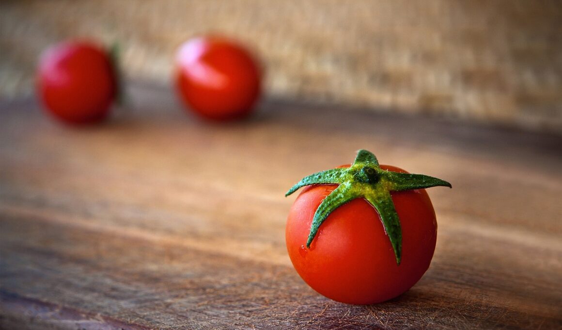 tomato, fresh, red tomato