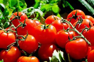 tomatoes, fruit, food