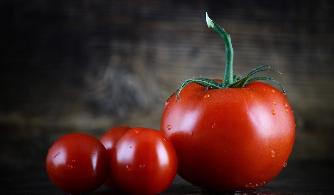 tomato, red, vegetables