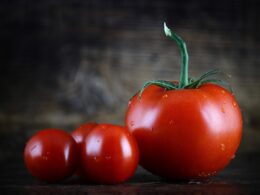 tomato, red, vegetables