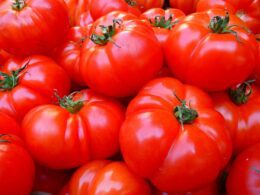 tomatoes, fruit, food