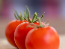 tomatoes, vegetable, food
