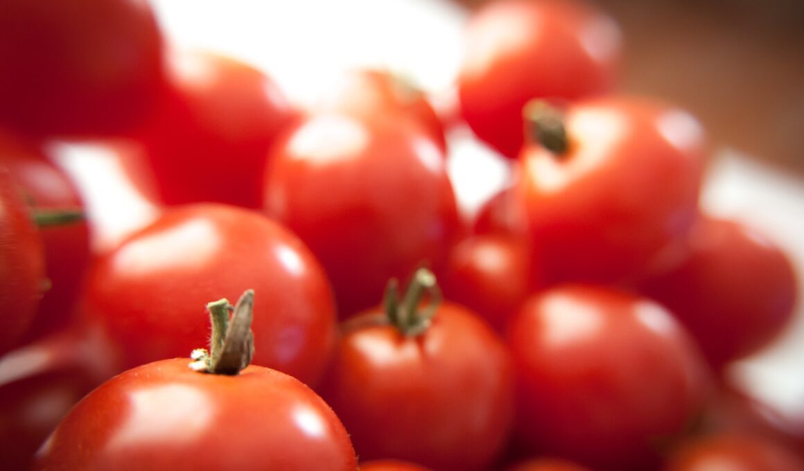 Close-up Photography of Tomatoes