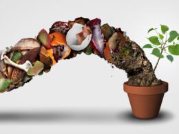Benefits Of Composting