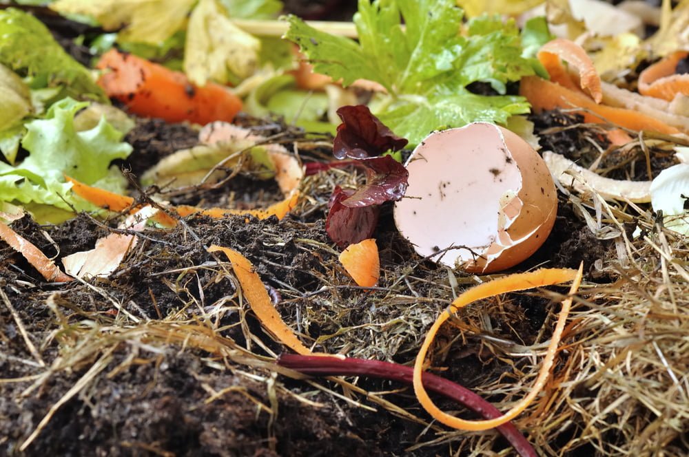 Choose The Right Composting System