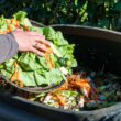Common Composting Mistakes