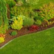Use Native Plants In Sustainable Landscaping Design