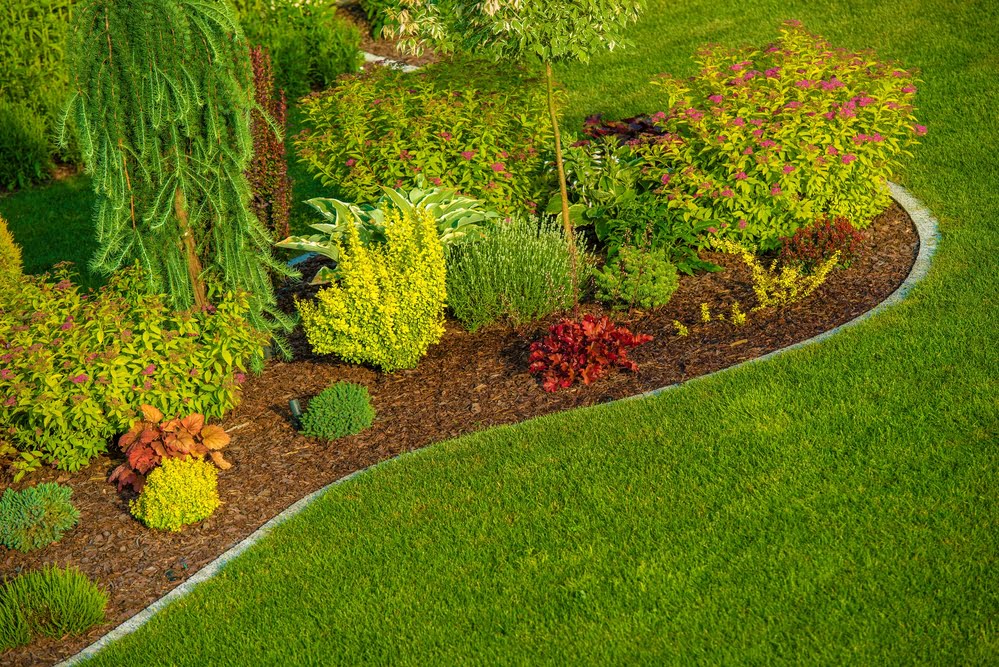 Use Native Plants In Sustainable Landscaping Design