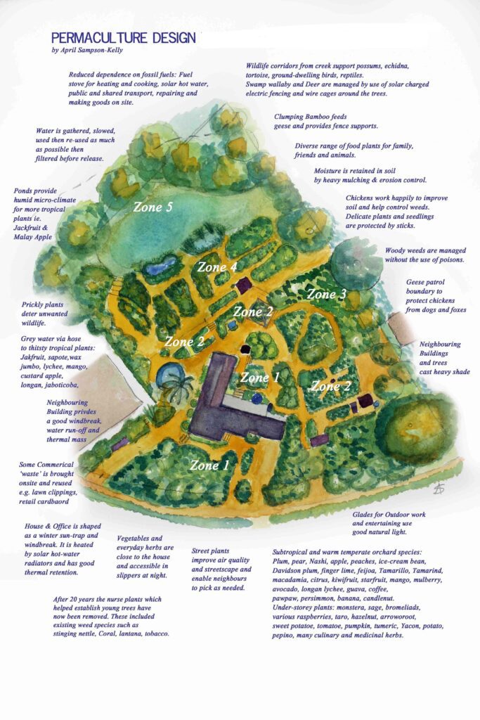 Permaculture Design Principles For Sustainable Landscaping
