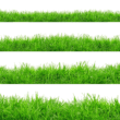Different Types of Grass in Texas