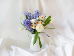 An image that captures the essence of a fading potted hyacinth, surrounded by withering petals, drooping leaves, and a delicate stalk, revealing the ephemeral beauty and transience of these fragrant flowers