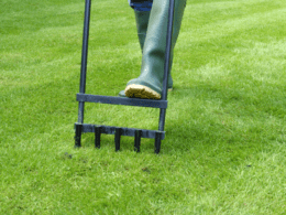 Aerate Your Lawn