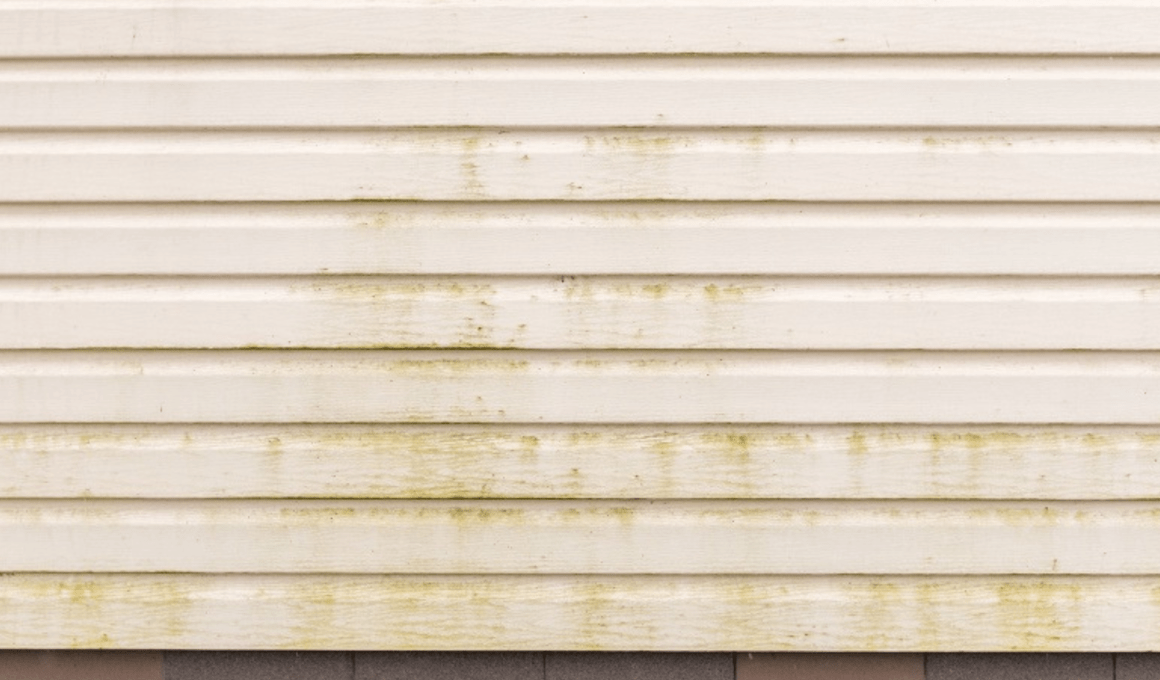 Clean Mildew From Exterior Painted Wood