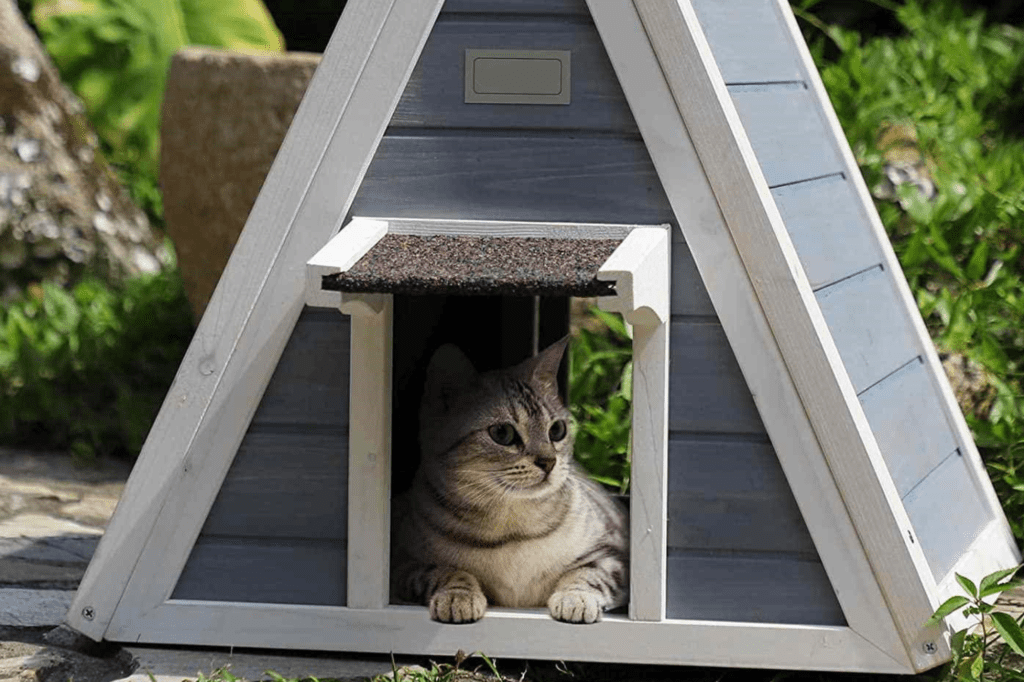 Create a Separate Outdoor Space for Your Cat