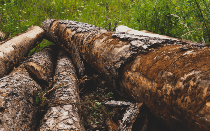 How To Treat Untreated Wood For Outdoor Use
