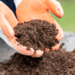 Improve Waterlogged Soil