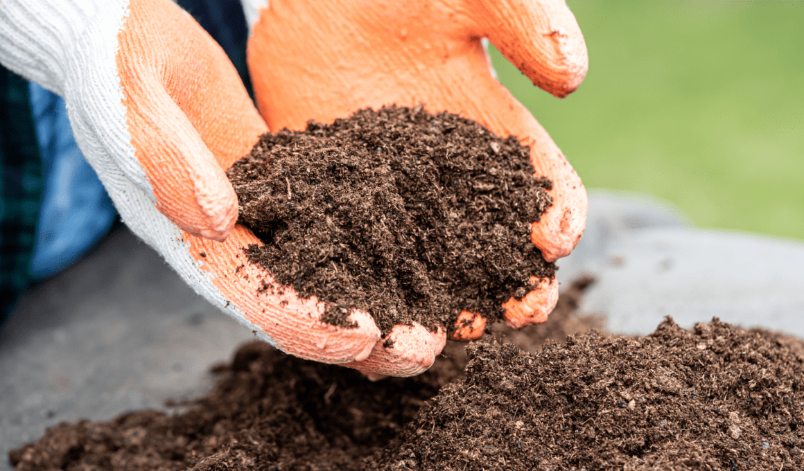 How To Improve Waterlogged Soil