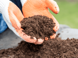 Improve Waterlogged Soil