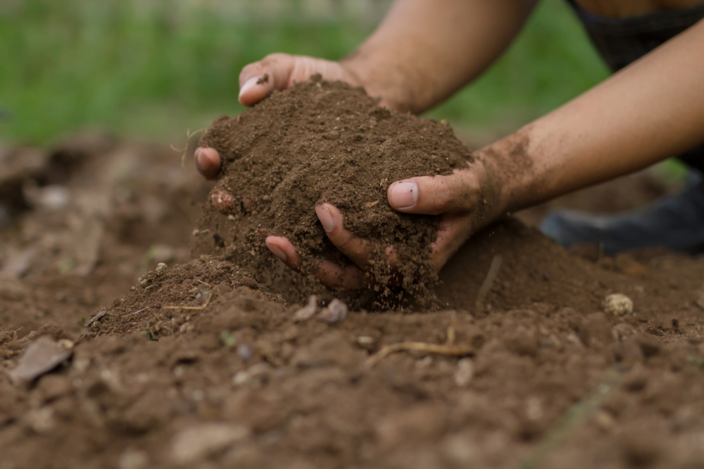 Prepare the Soil Properly Before Planting