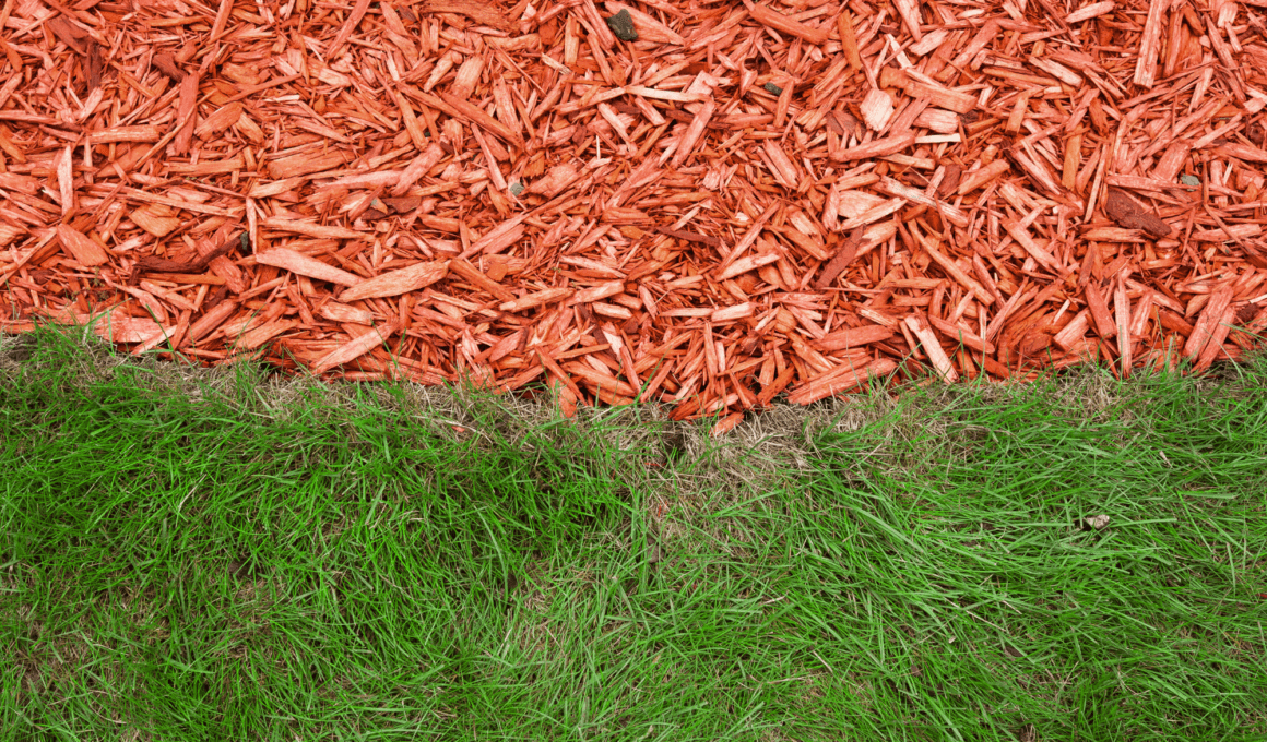 Remove Mulch And Replace With Grass
