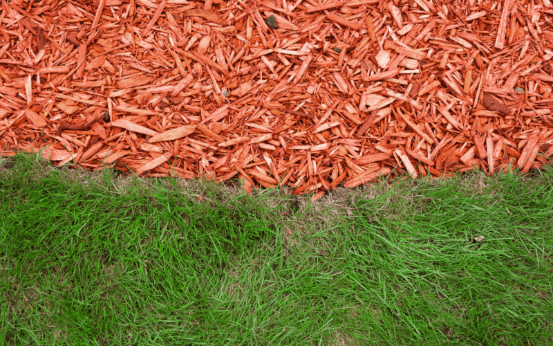 Remove Mulch And Replace With Grass