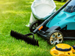 Reverse Your Over Fertilized Lawn In 5 Basic Steps