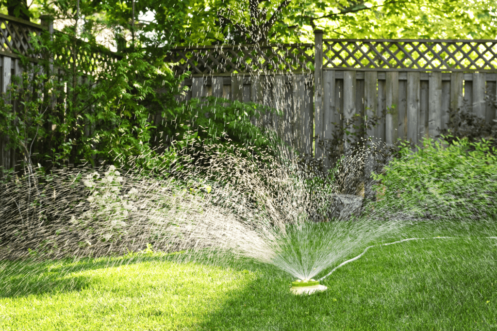Water Your Lawn