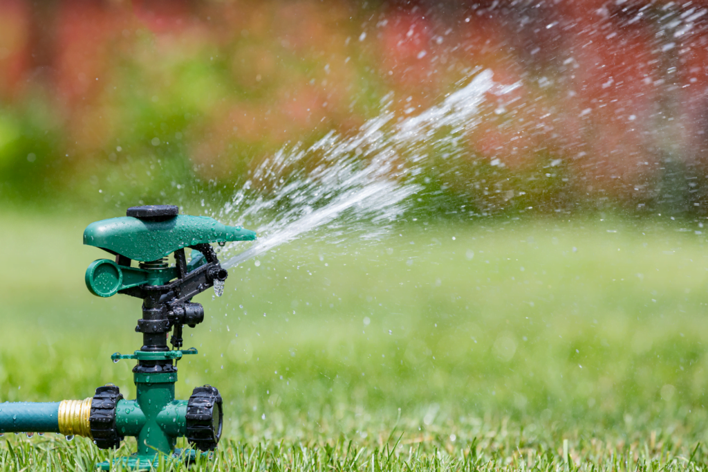 watering schedule based on your lawn's needs