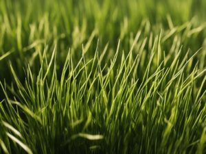 How To Speed Up Grass Seed Germination