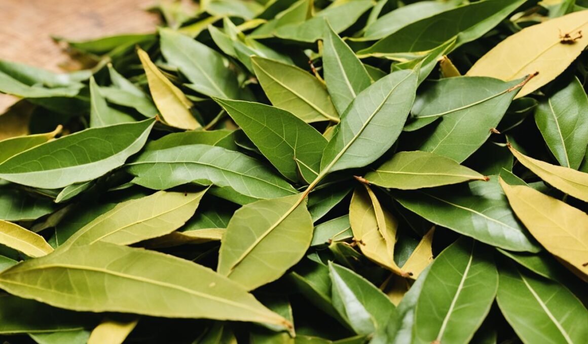 Bay Leaves For Roaches