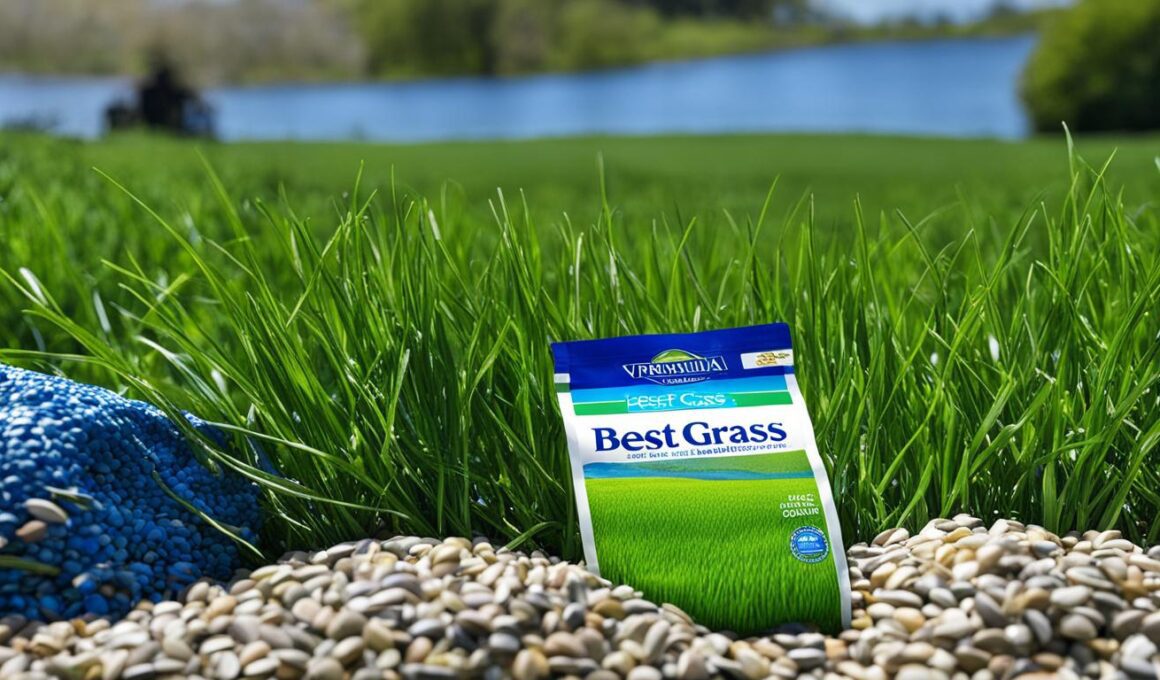 Best Grass Seed For Virginia