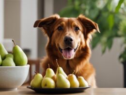 Can Dogs Eat Korean Pears