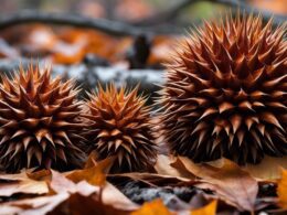 Chestnut Tree Spiky Balls