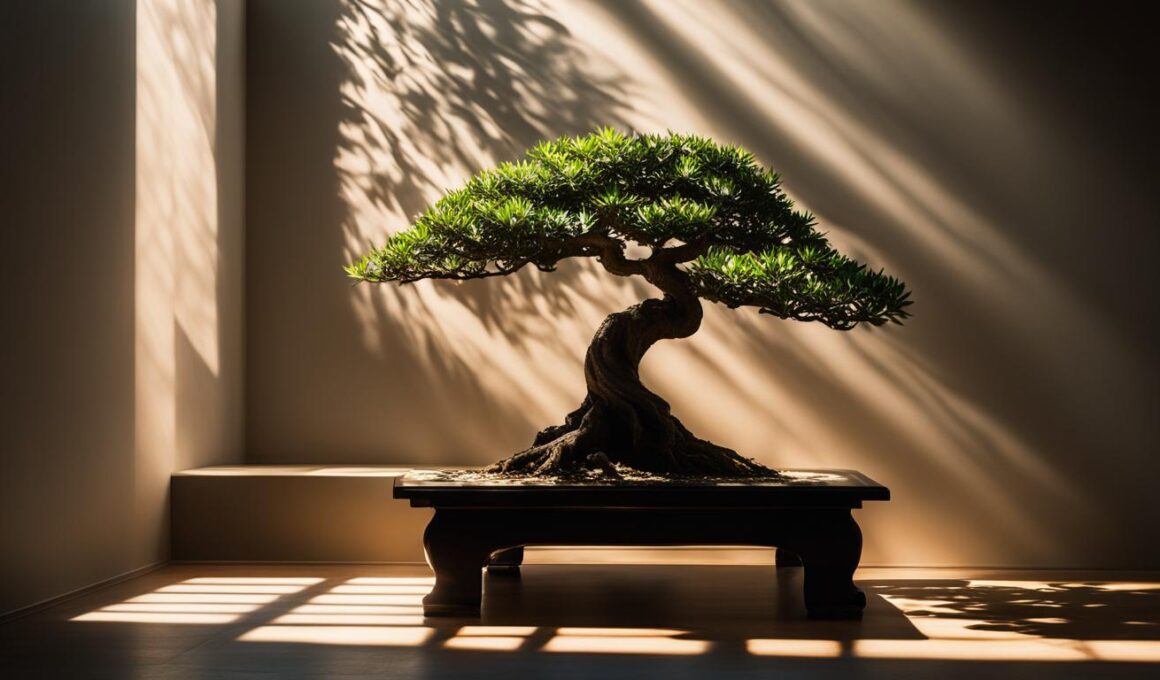 Do Bonsai Trees Need Sunlight