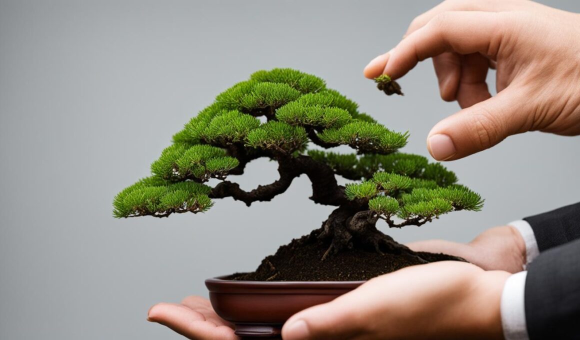 How Big Do Bonsai Trees Get