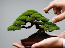 How Big Do Bonsai Trees Get