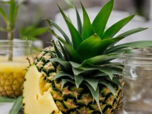 How To Propagate A Pineapple