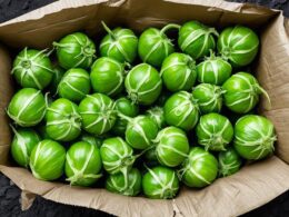 How To Store Tomatillos