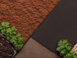 Mulch Options for Xeric Landscapes
