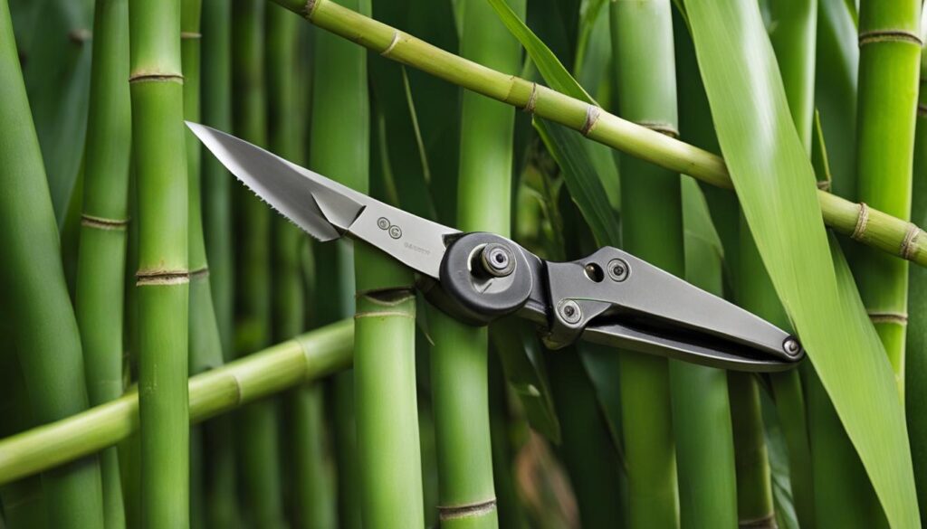 Pruning Bamboo Plants