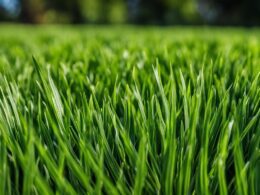 how to stripe grass